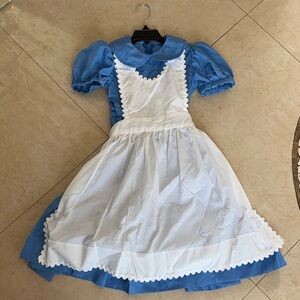 Custom-made Alice in Wonderland costume